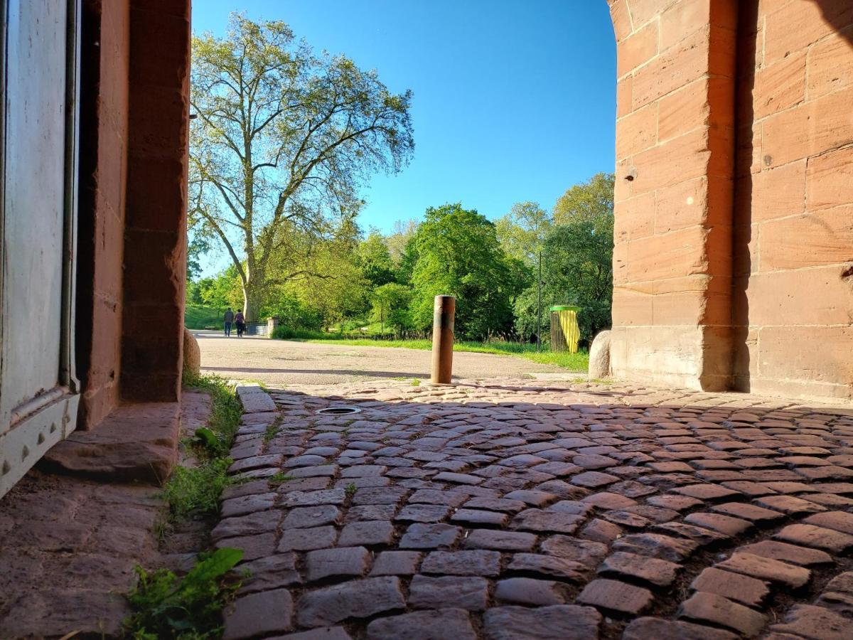 Alsacetime, Centre Parking Gratuit, Tram Wifi, Fibre Orange, Espace De Travail Strasbourg Luaran gambar